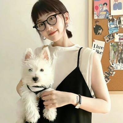 李瑞镇的纽约纽约2